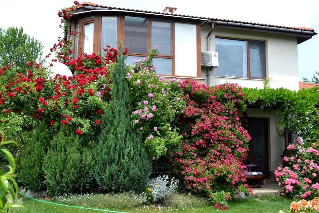 Sea & Garden Villa Varna Ngoại thất bức ảnh
