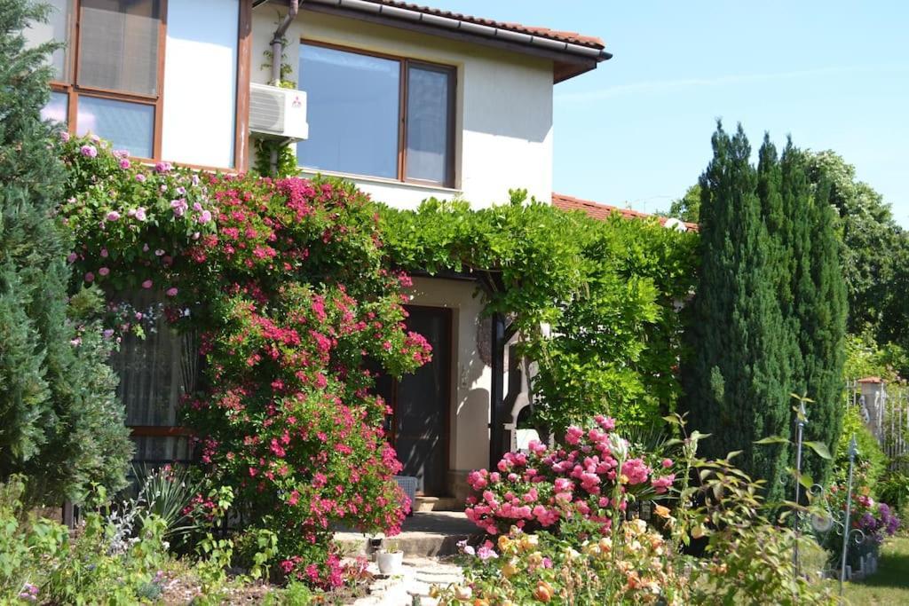 Sea & Garden Villa Varna Ngoại thất bức ảnh