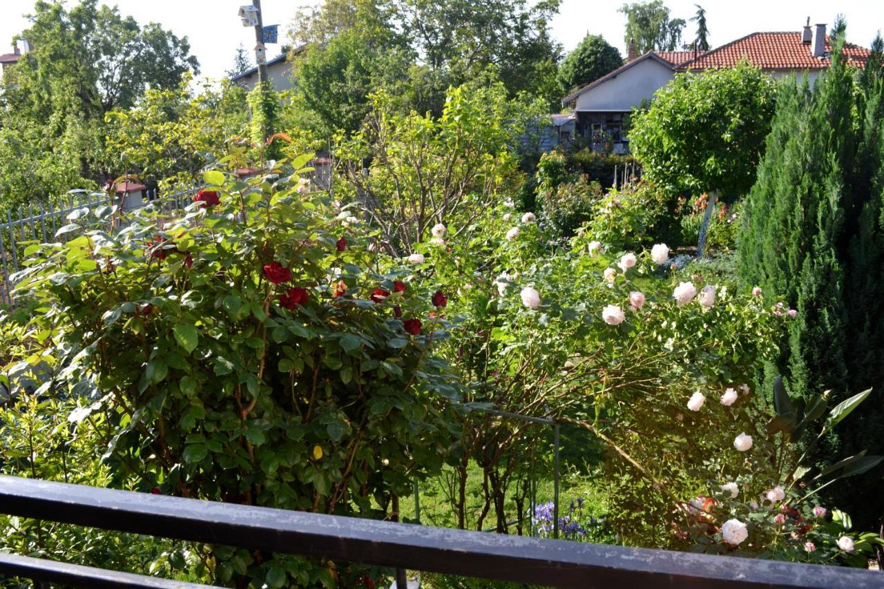 Sea & Garden Villa Varna Ngoại thất bức ảnh
