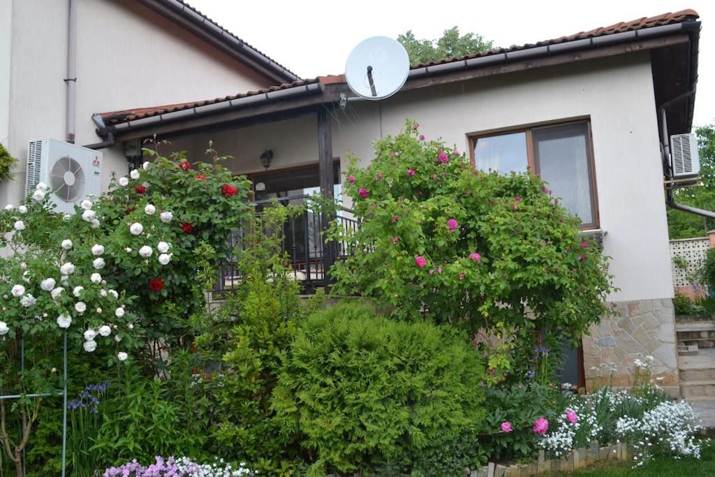 Sea & Garden Villa Varna Ngoại thất bức ảnh