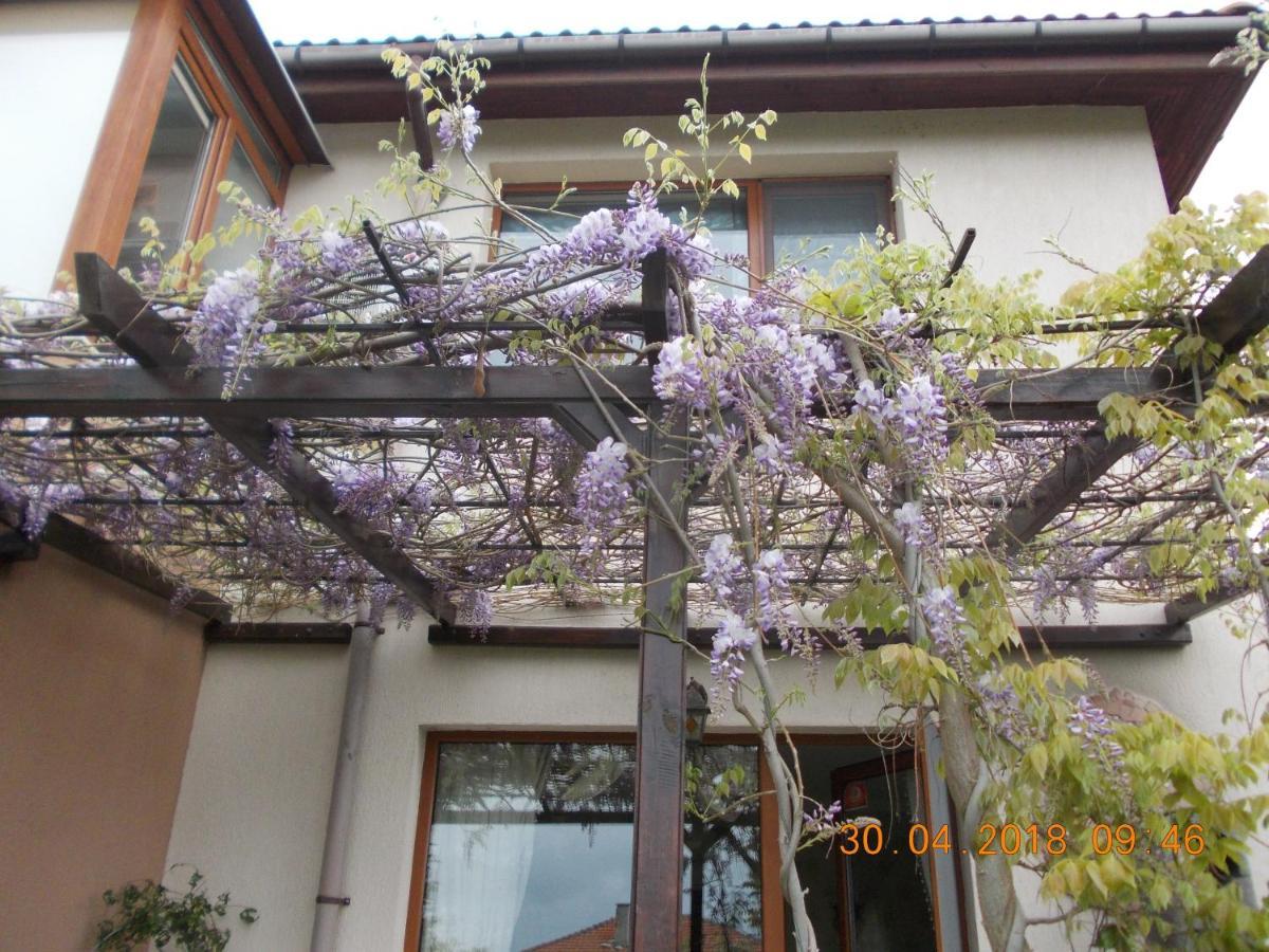 Sea & Garden Villa Varna Ngoại thất bức ảnh